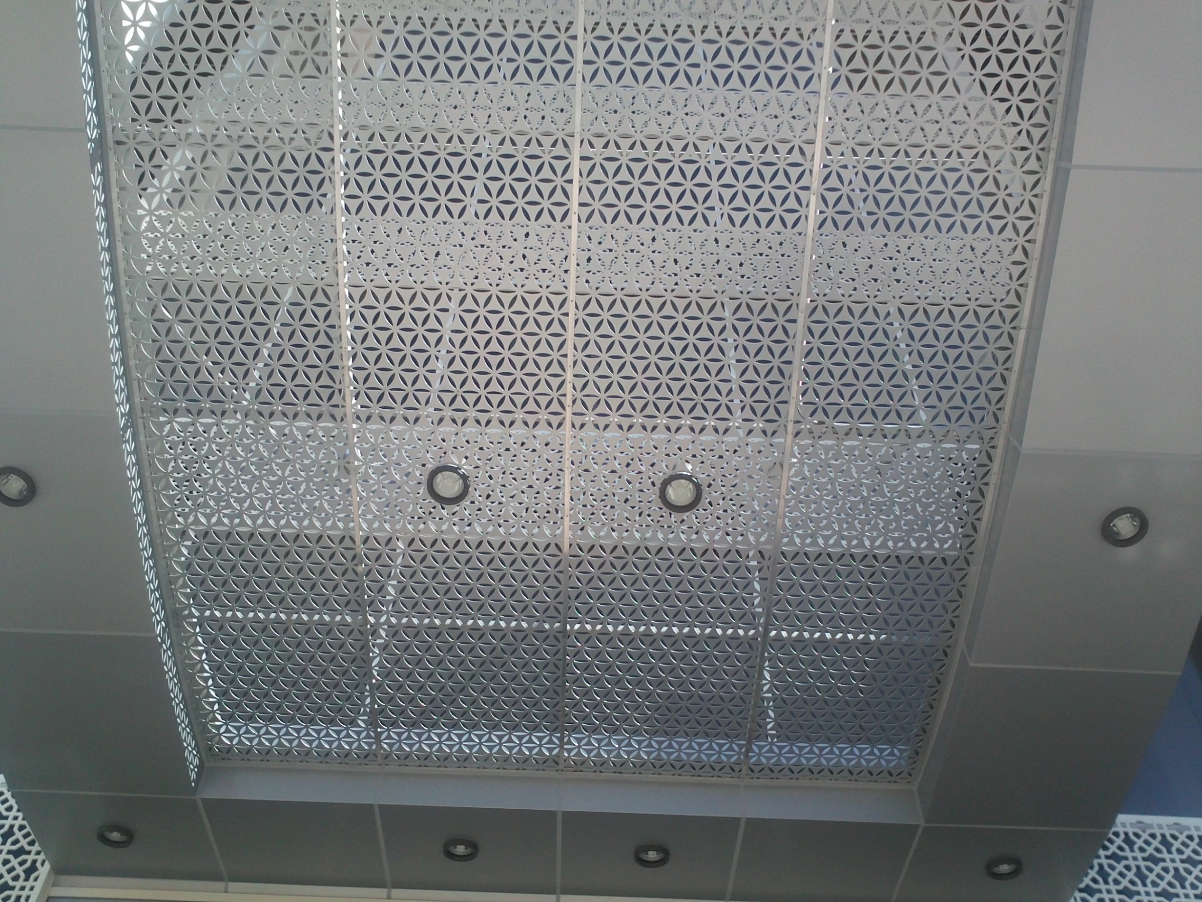 Canopy with perforated panels3