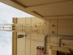 WhatsApp Image 2021-10-06 at 7.21.02 PM